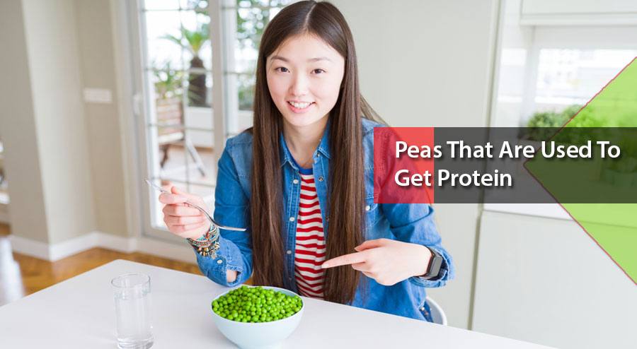 Peas that are used to get protein